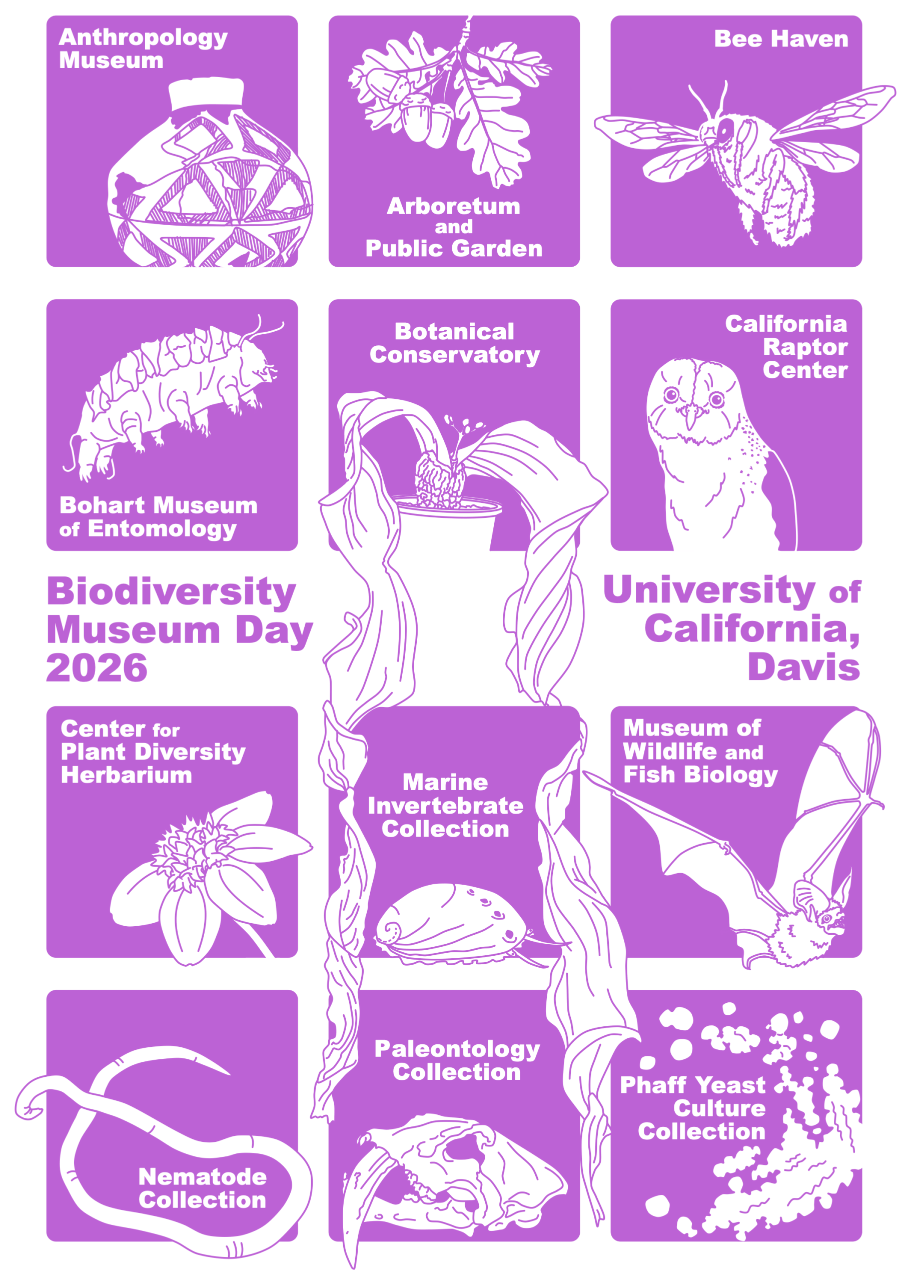 Biodiversity Day 2026 Logo