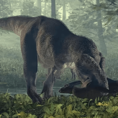 An illustration of Tyrannosaurus rex
